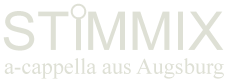 STIMMIX Logo